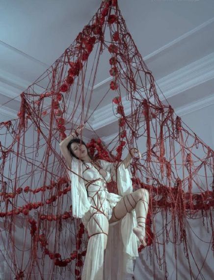 啄木鸟在线_BD韩语在线观看